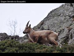 100 POUR CENT PUR HAUTES ALPES_000043